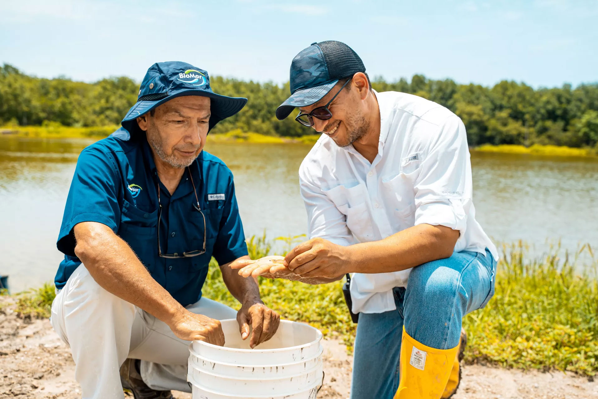 BioFarm_Biomar_People_Collaboration_Shrimp_Ecuador