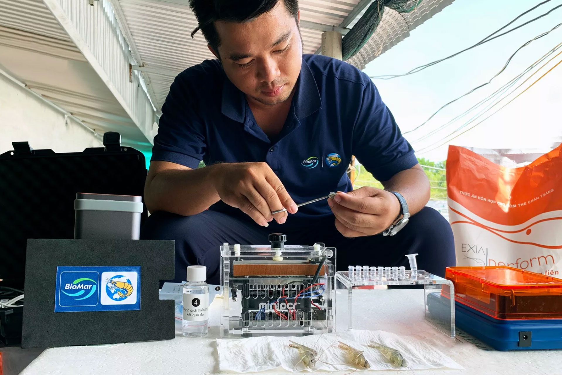 BioMar-People-Vietnam-Shrimp-Biofarm-Examine