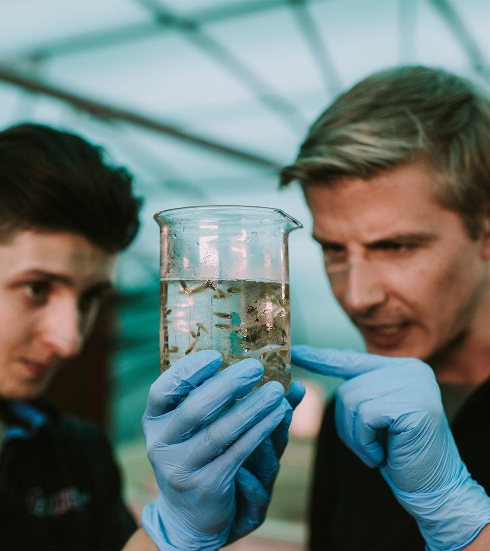 Guiding-principles-collaboration