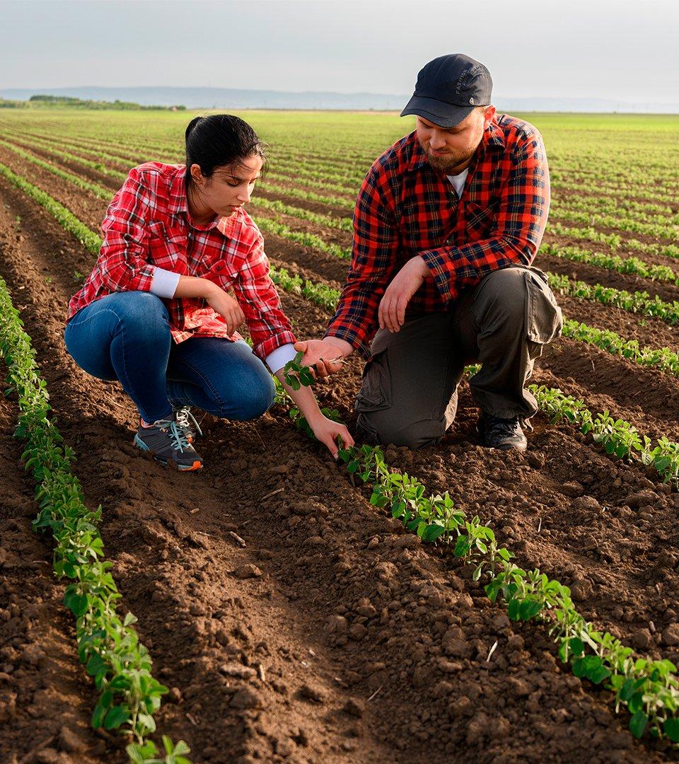 Guiding-principles-sustainability