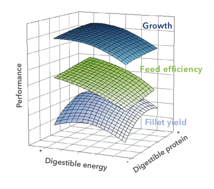 P30-Concept_Balance-between-performance