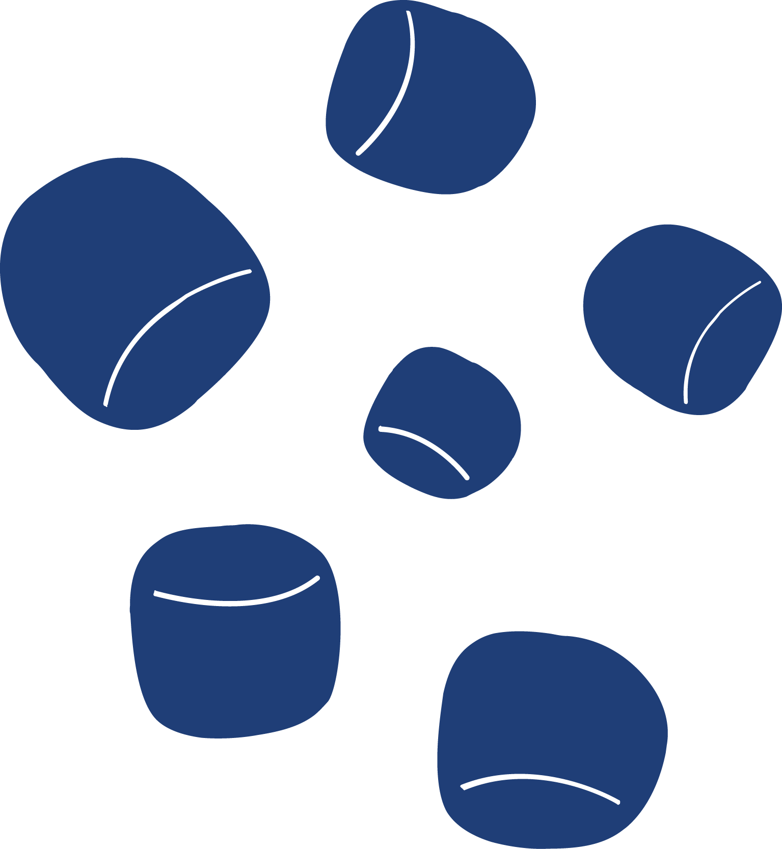 Website_BioMar_Icons_Fish_Feed_pellets_Production