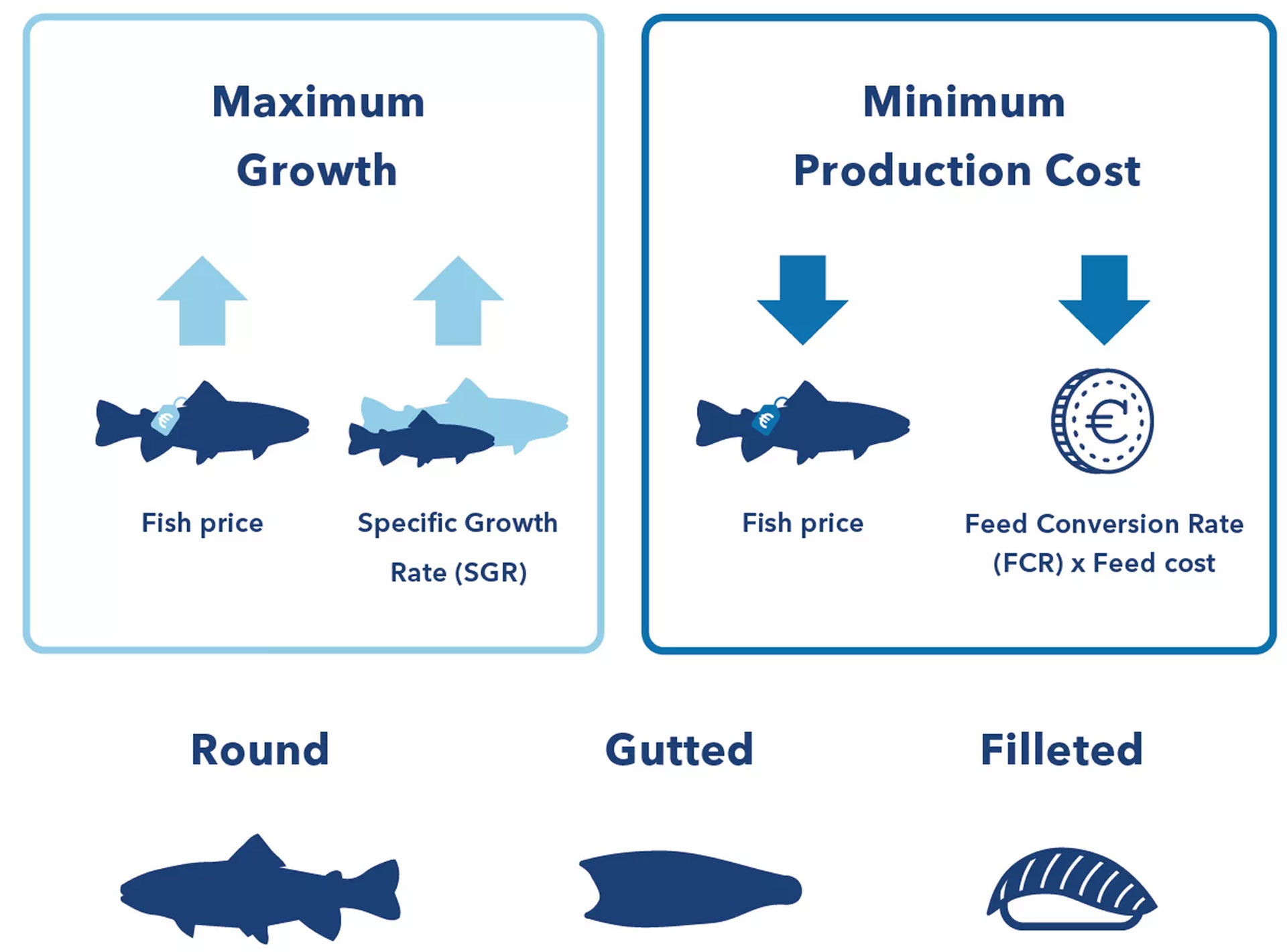 p30concept_fish-prices