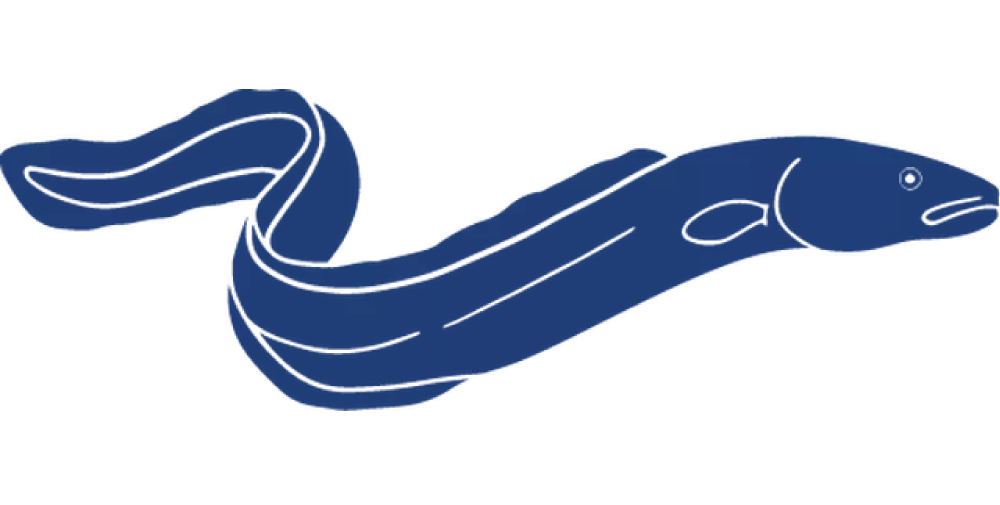 Detailed-Fish-Icons_FINAL_European-Eel