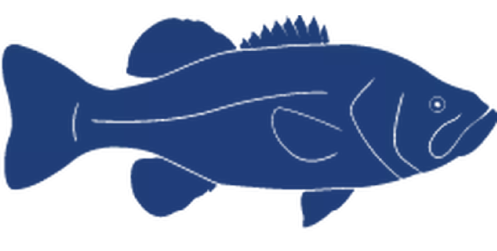 Detailed-Fish-Icons_FINAL_Large-Mouth-Bass