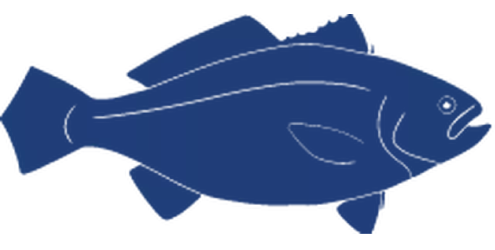 Detailed-Fish-Icons_FINAL_Large-Yellow-Croaker