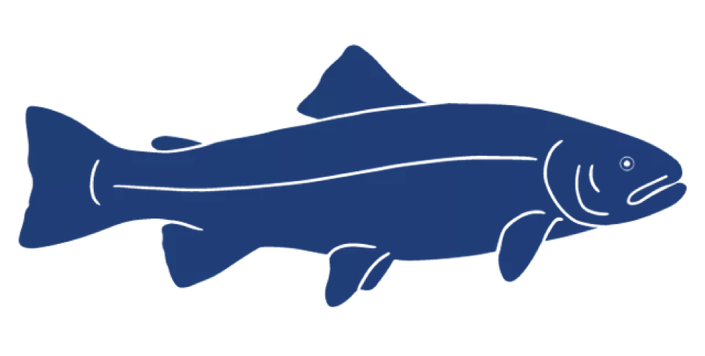 Detailed-Fish-Icons_FINAL_Trout