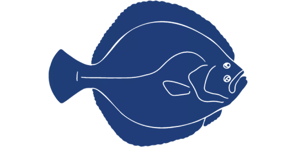 Detailed-Fish-Icons_FINAL_Turbot