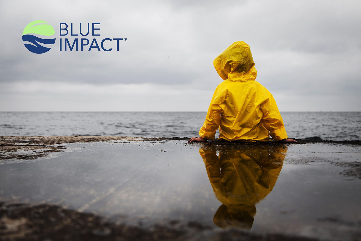 Feed-Solutions_Blue-Impact