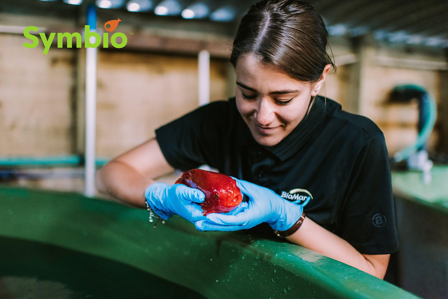 Feed-Solutions_Symbio