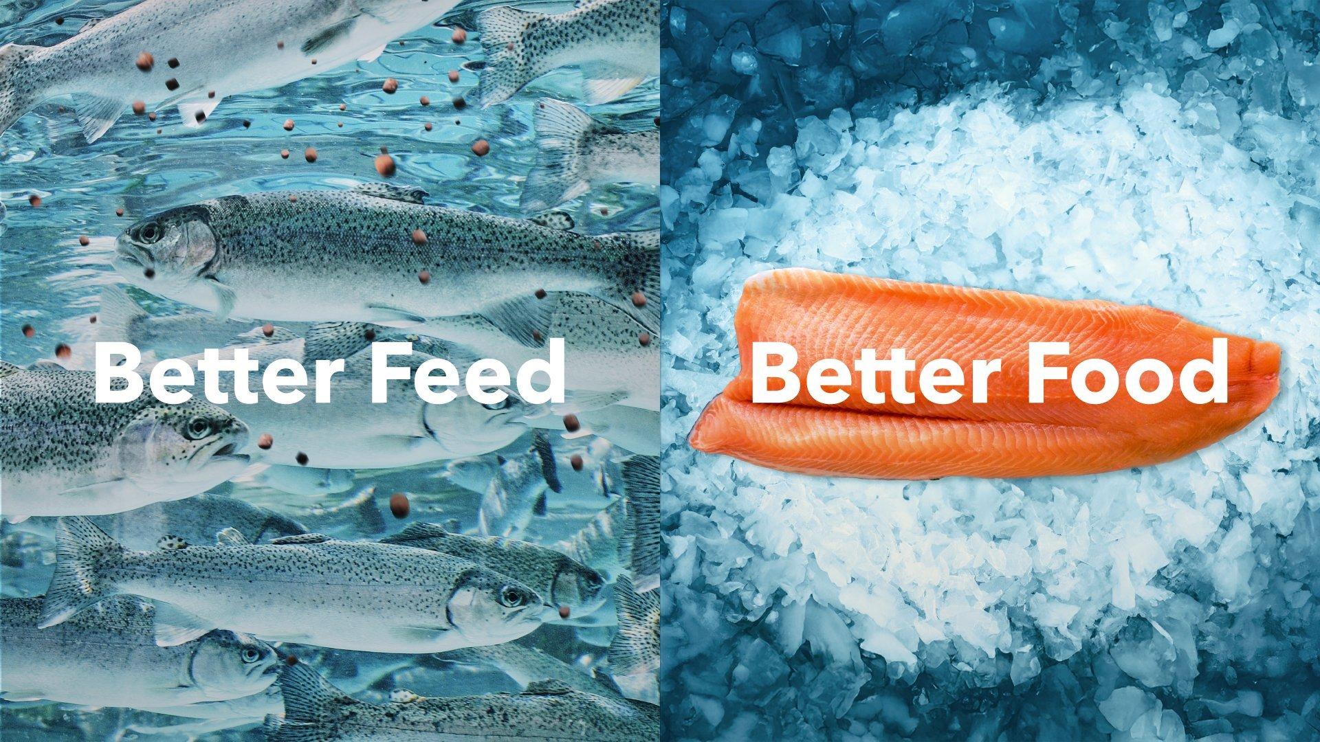 2024-10 Better Feed Better Food-SoMe_Trout-1