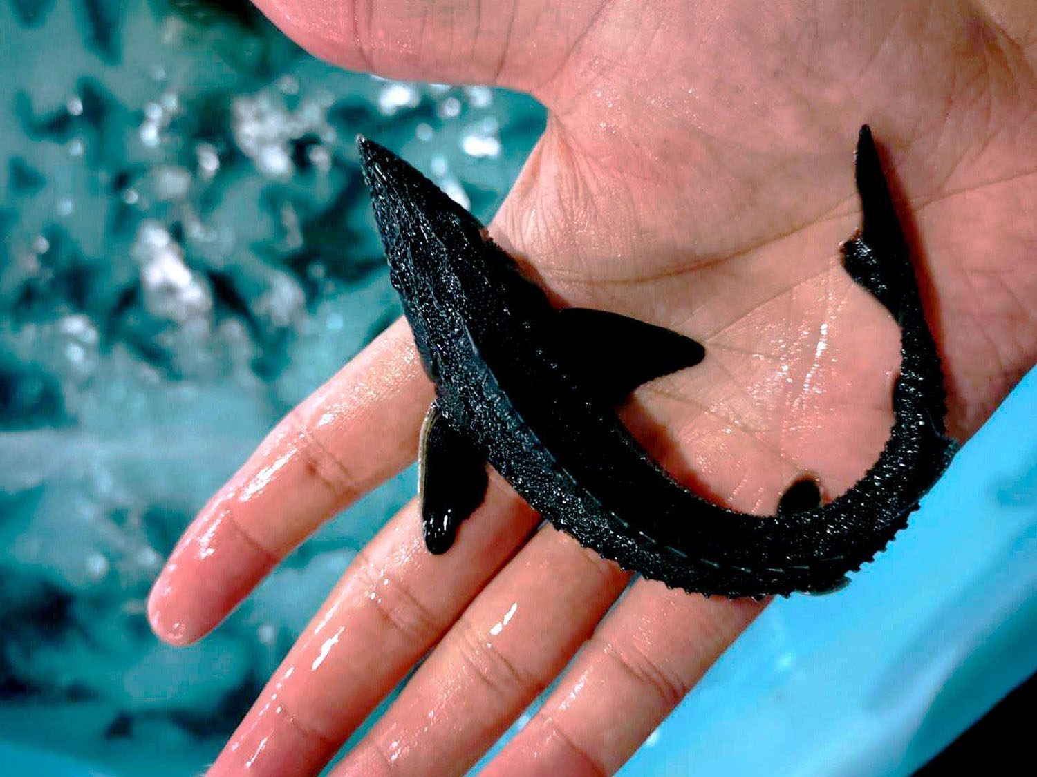 Hero-Starter-Feed (1)